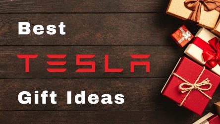 Best Gift Ideas for Tesla Owners [for under $50]